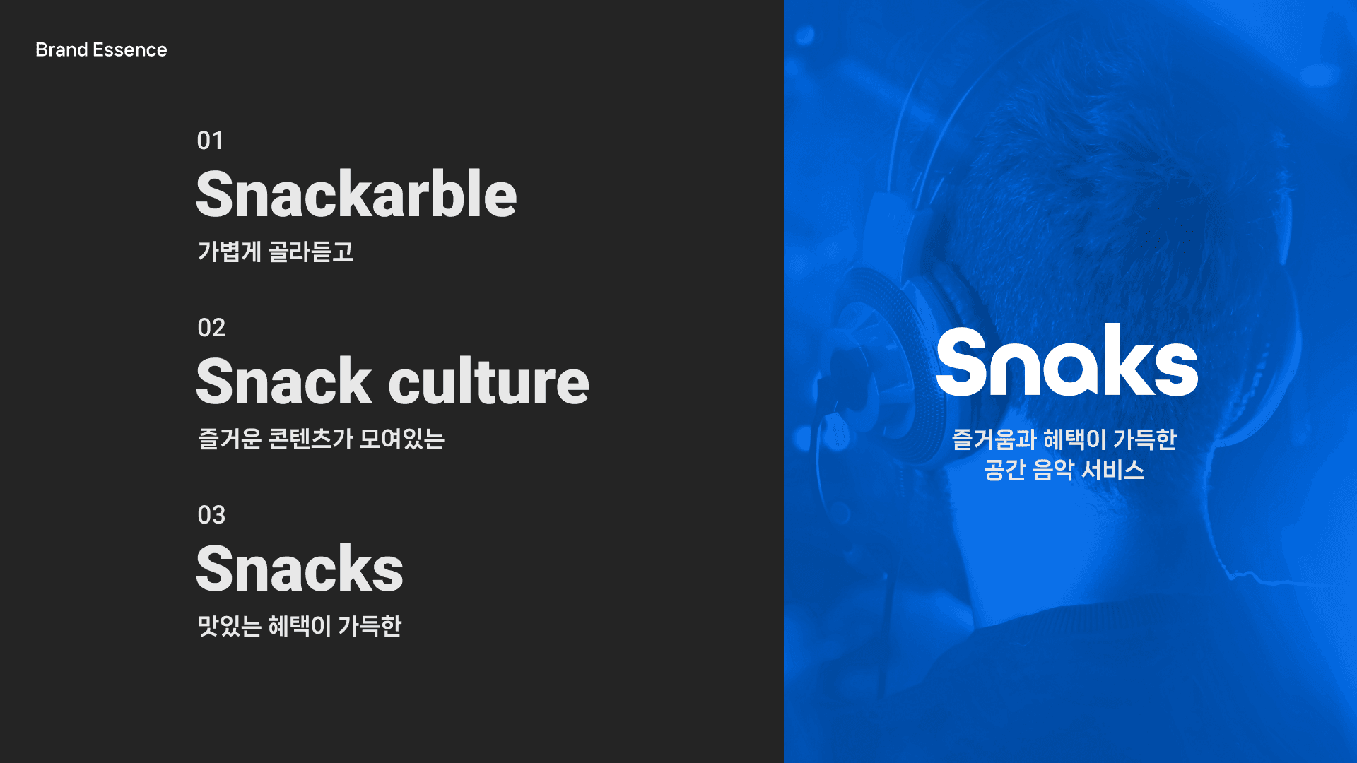 Snaks 1