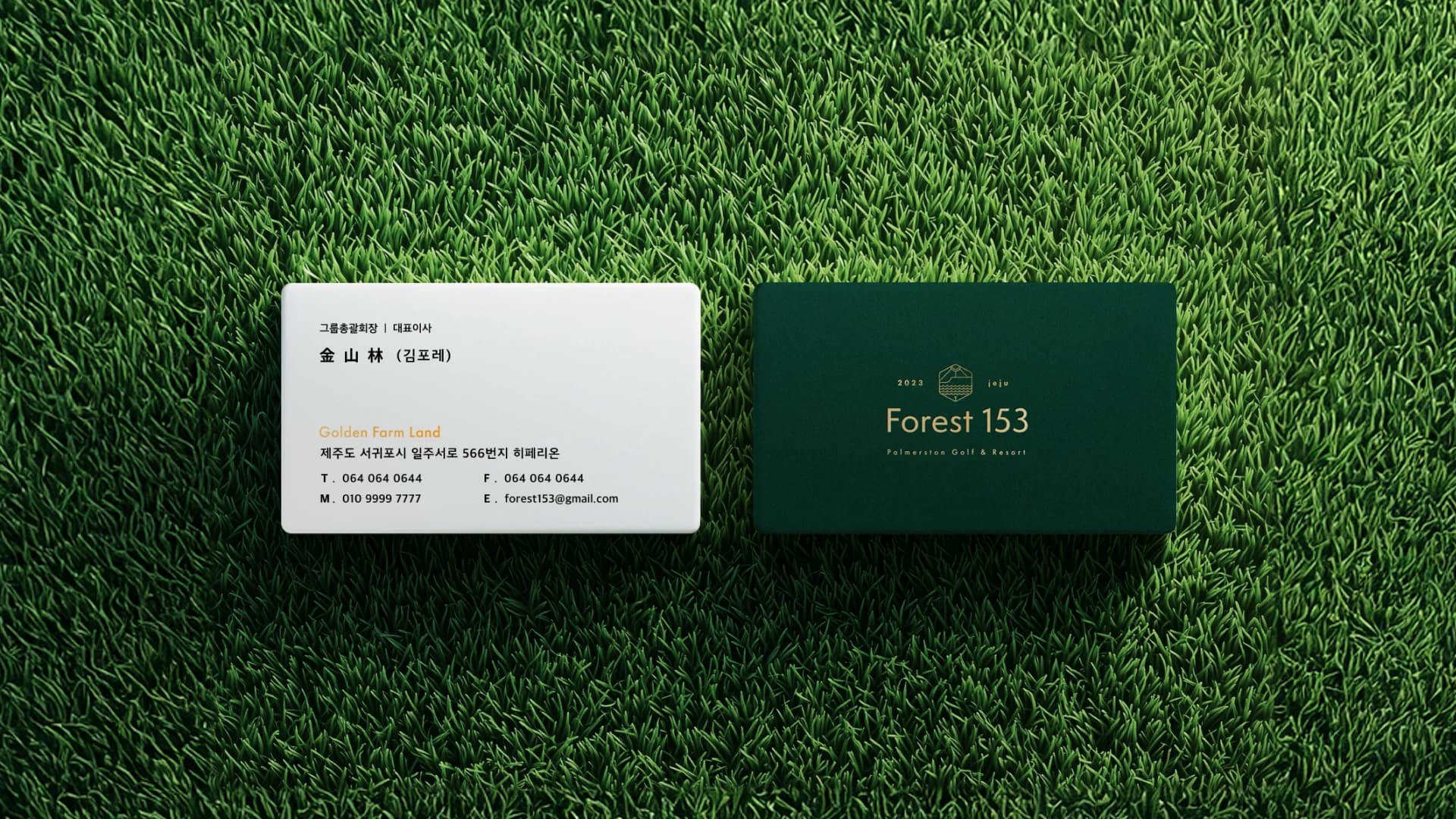 Forest153 3